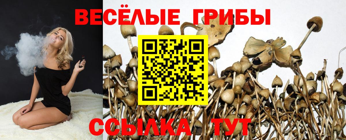 Псилоцибиновые грибы ЛСД  Вход с VPN  где найти наркотики  Надым 
